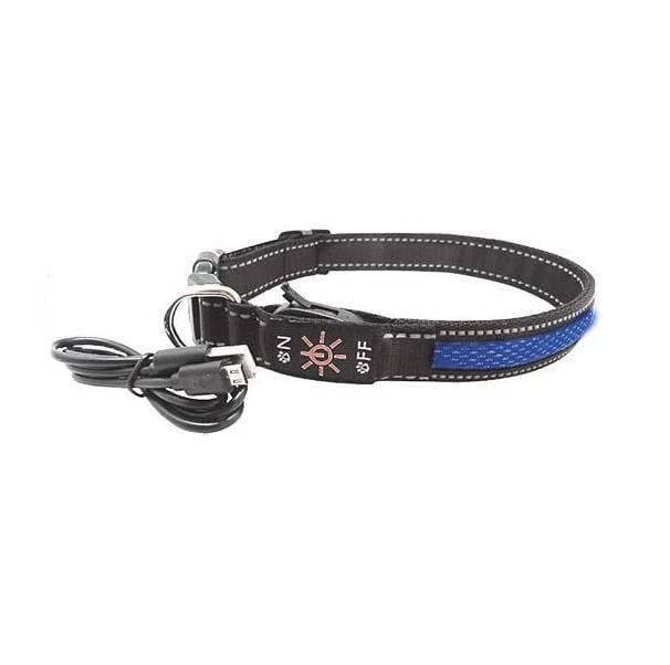 Ошейник светящийся AnimAll LED L 2,5 см 50-60 см Синий (2000981125707)