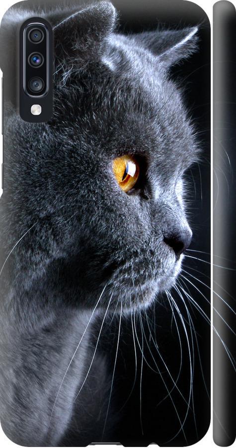 Чехол на Samsung Galaxy A70 2019 A705F Красивый кот (3038m-1675-42517)