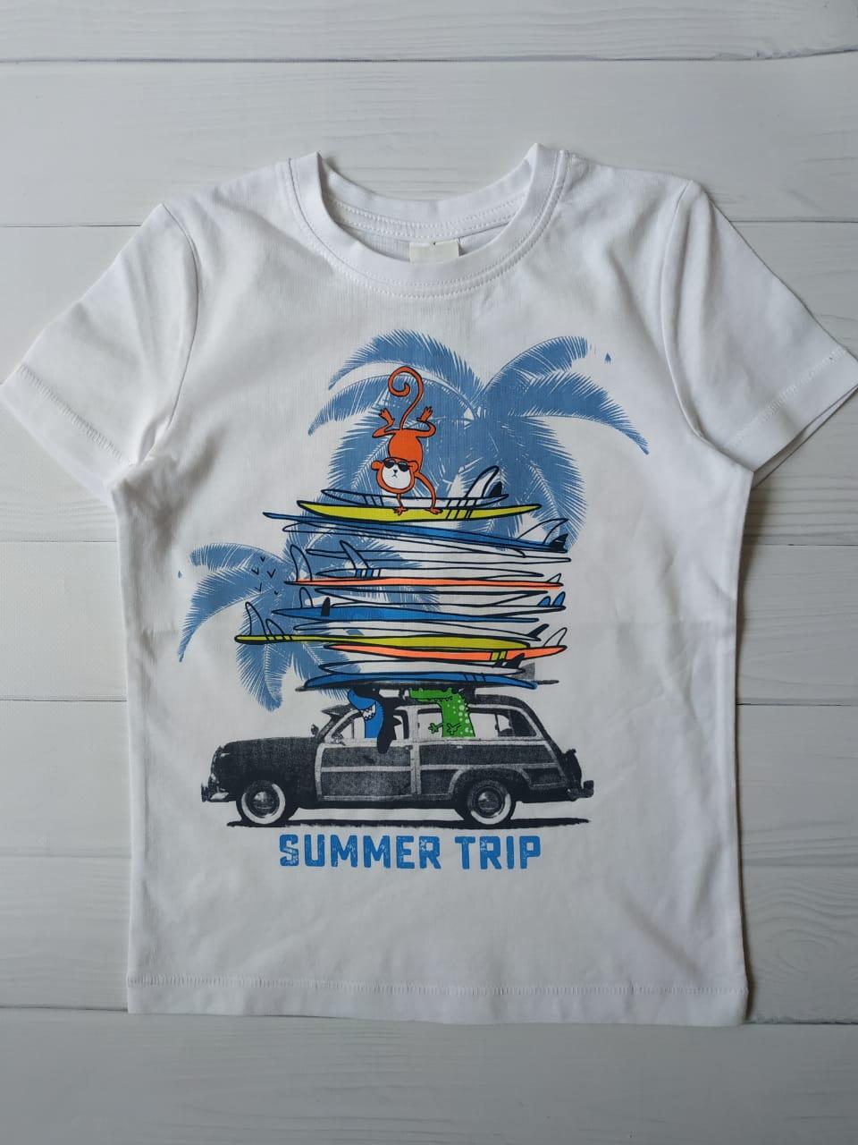 Футболка C&A для хлопчика 110 см Білий (204472)