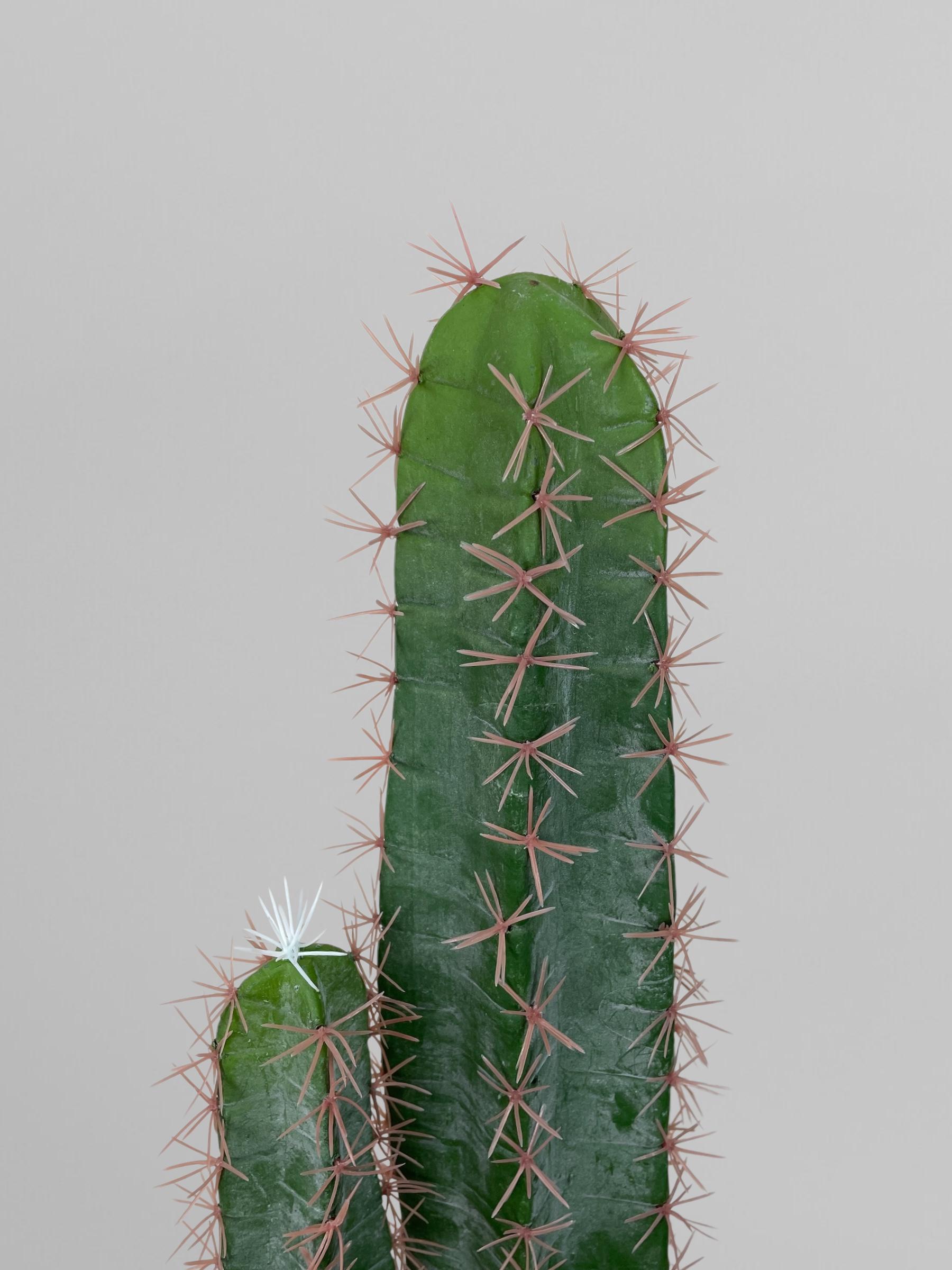 Искусственный кактус 150 см Зеленый (Р06002) - фото 7 Искусственный кактус 150 см Зеленый (Р06002) - фото 7