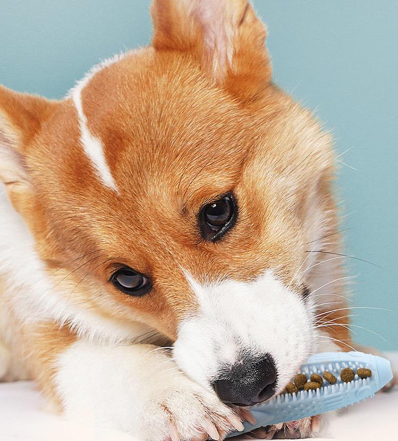 Игрушка-кормушка для животных 11957 14х5 см Голубой (4571522) - фото 2 Игрушка-кормушка для животных 11957 14х5 см Голубой (4571522) - фото 2