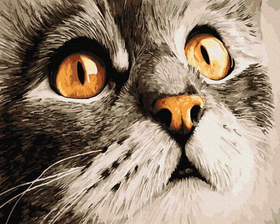 Картина по номерам Brushme Взгляд котика Сирка (GX23782)