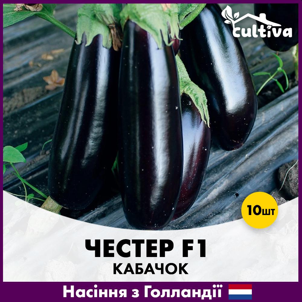 Семена баклажана Ergon Seed Честер F1 10 шт. (R51076)
