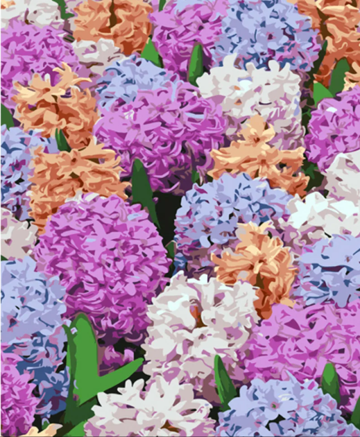 Картина по номерам Strateg Разноцветные гиацинты 40х50 см (GS1062)