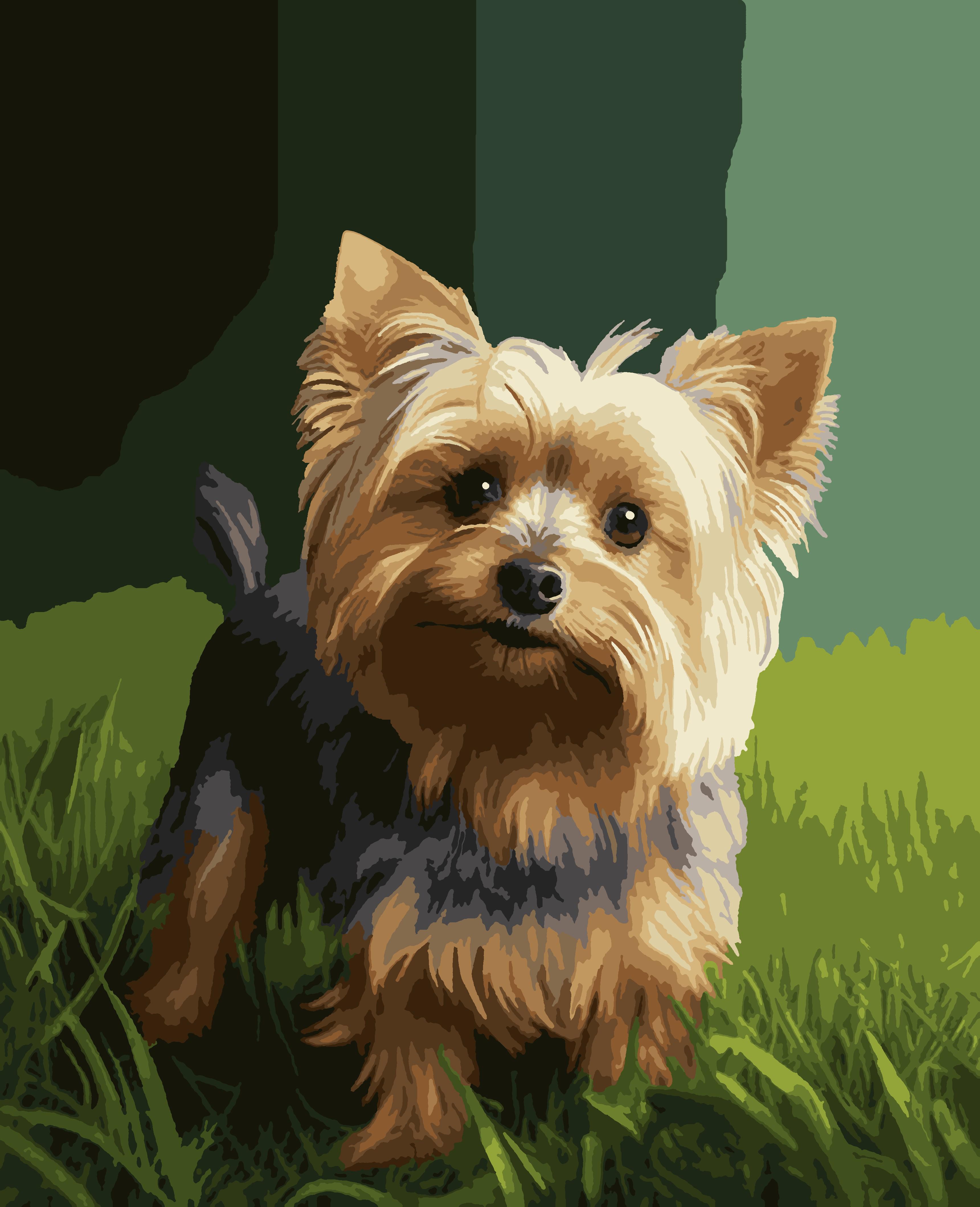 Картина по номерам Artissimo Йорк 40x50 см (PN4081-Artis)