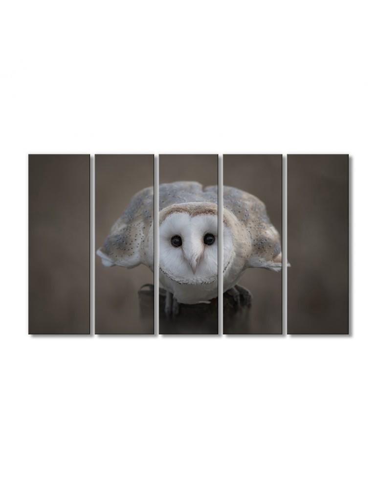 Картина модульная Сипуха белая 5 модулей 90x135 см
