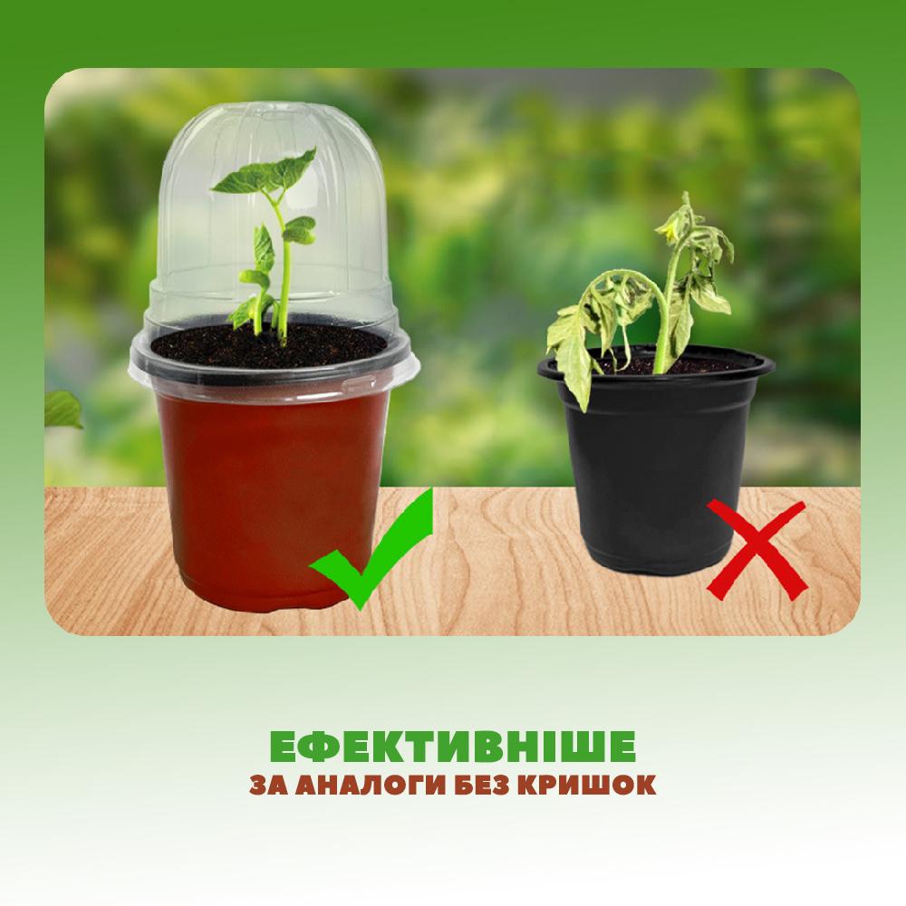 Горщики-стакани для розсади пластикові 10 лотків з кришками пластикові ємності (STKROZ-BRN-0689) - фото 2