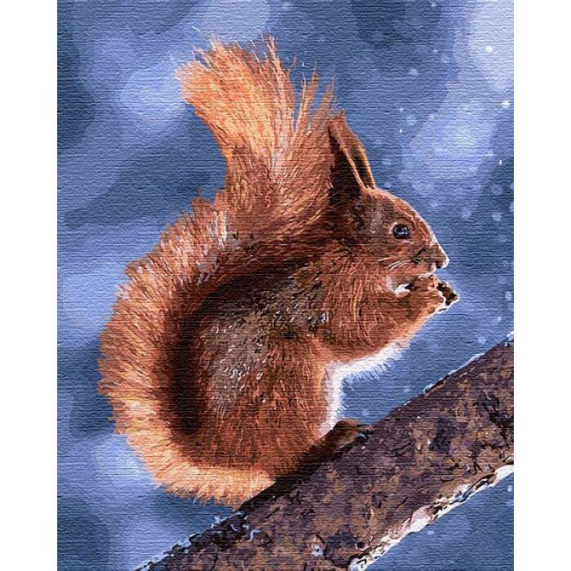 Картина по номерам ТМ Идейка Маленькая белочка КНО4205 40x50 см (MTT-125232)