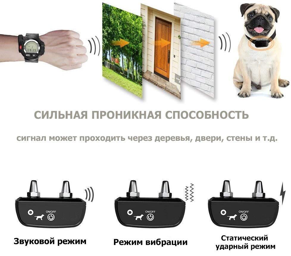 Часы с электроошейником Digital Lion T213 для дрессировки собак до 300 м - фото 3 Часы с электроошейником Digital Lion T213 для дрессировки собак до 300 м - фото 3