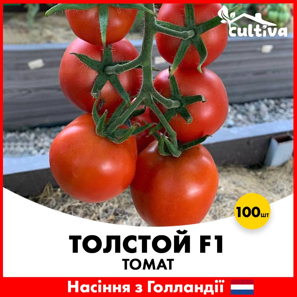 Семена томата Bejo Толстой F1 100 шт. (T11100)