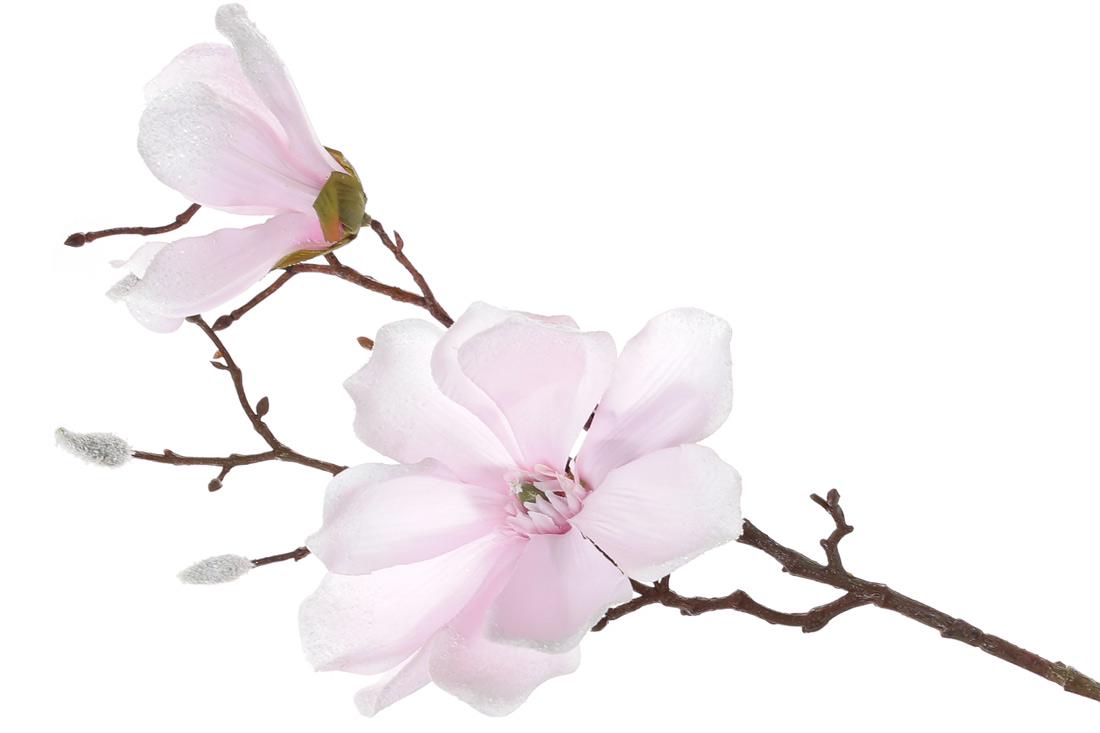 Декоративная ветка BonaDi Магнолия (709-371)