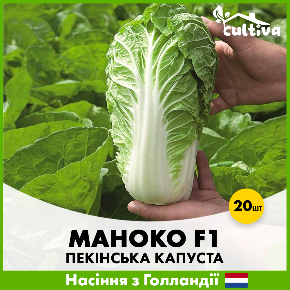 Семена пекинской капусты Bejo Маноко F1 20 шт. (00305)