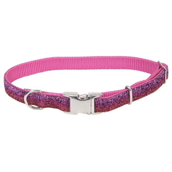 Нашийник для собак Coastal Pet Attire Sparkles 1х20-30 см (13421_PKS12)