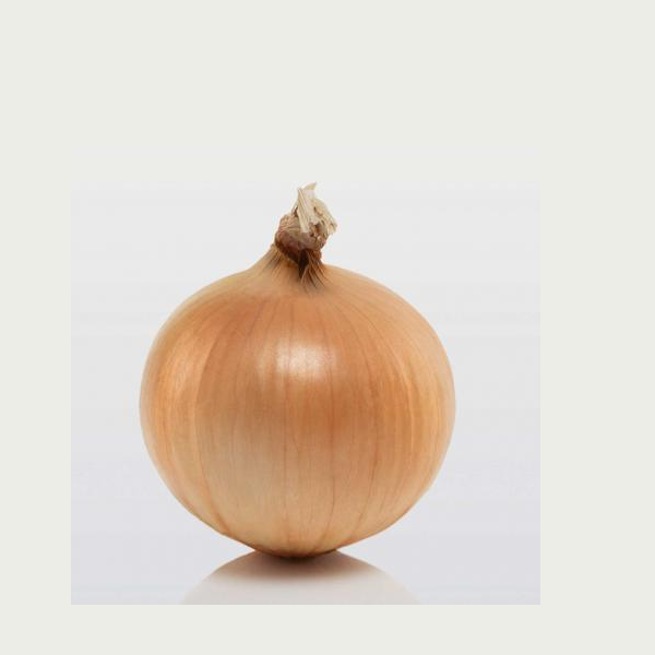 Семена лук севок BroerB.V. Сеншуй 10-21 мм 100 г (1820994050)