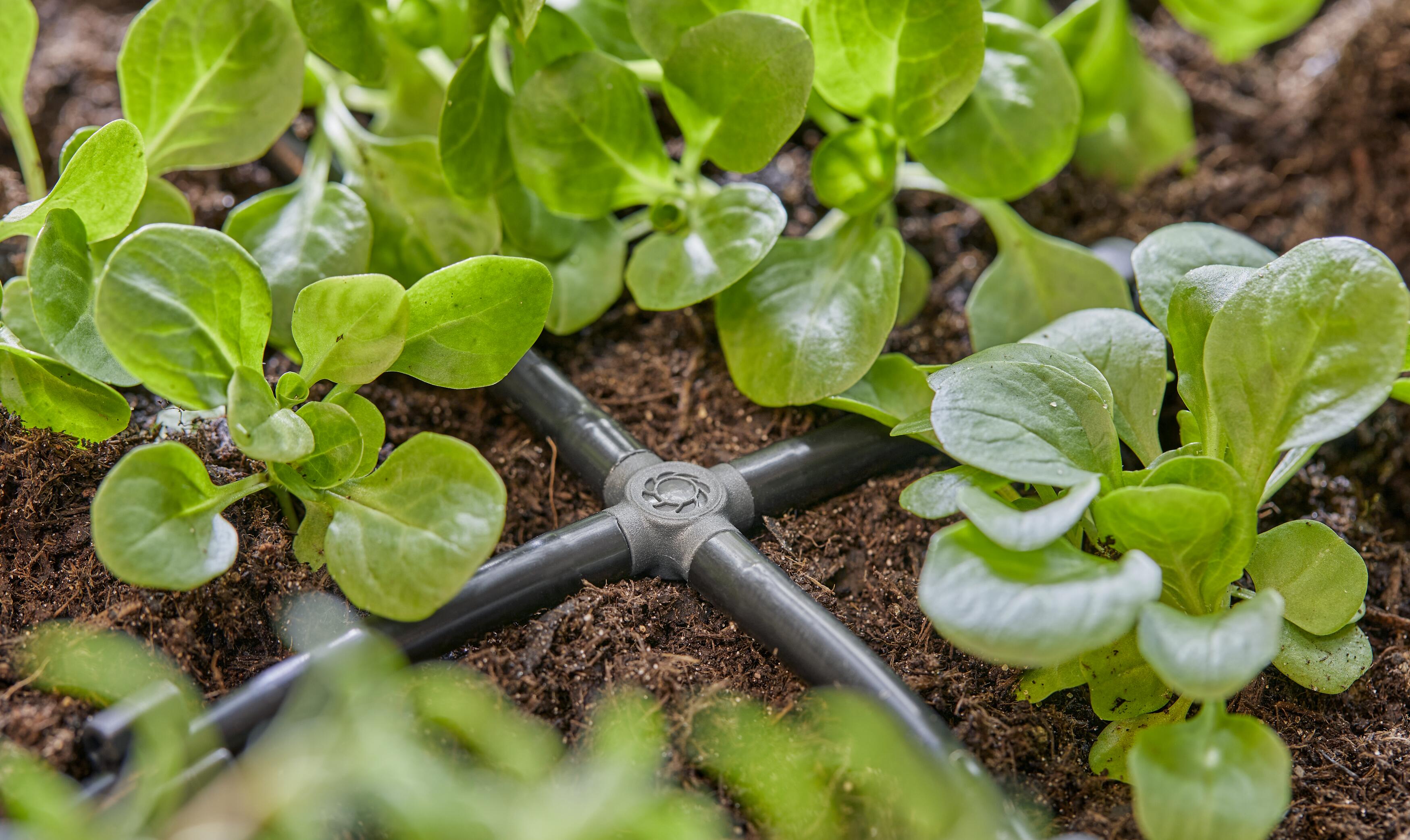 Соединитель крестообразный Gardena Micro-Drip-System для шлангов 4,6 мм 10 шт. (13214-20) - фото 3