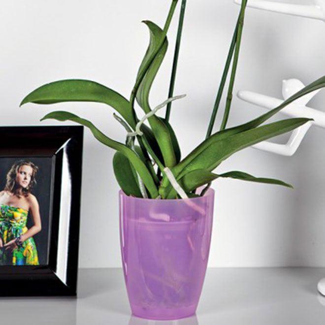 Горщик для орхідей Flora Ага 12 см Фіолетовий (84654) - фото 2 Горщик для орхідей Flora Ага 12 см Фіолетовий (84654) - фото 2