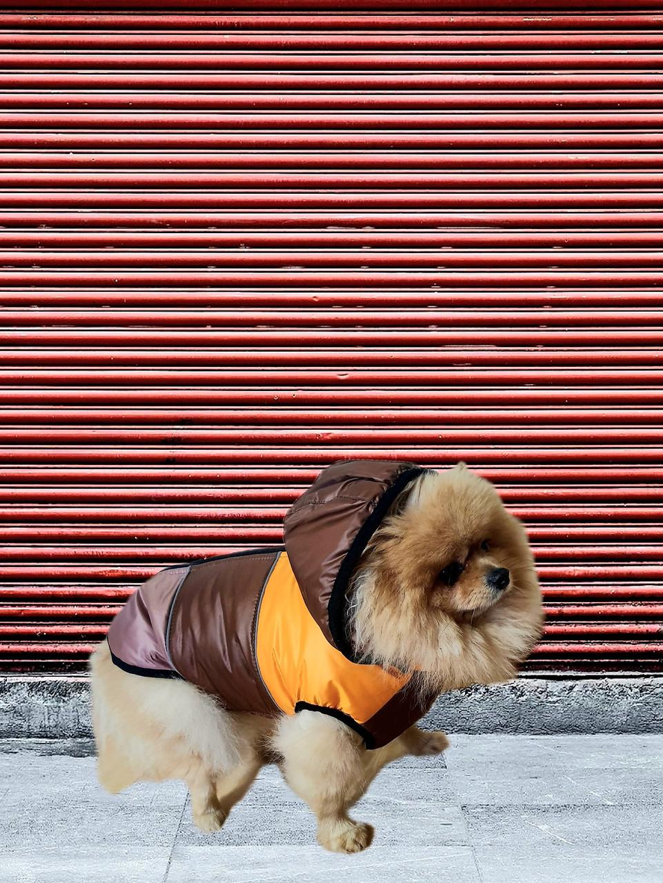 Жилет для собаки Тріо 29x46 см Коричневий (985635) - фото 2 Жилет для собаки Тріо 29x46 см Коричневий (985635) - фото 2