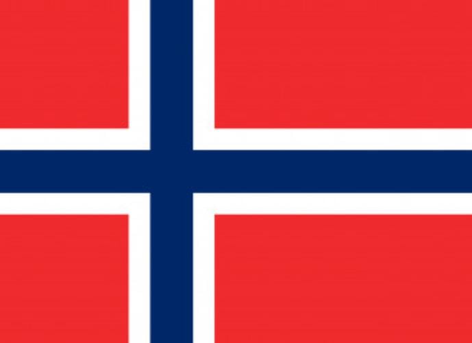Флаг Королевства Норвегия 600х900 мм (25739784)