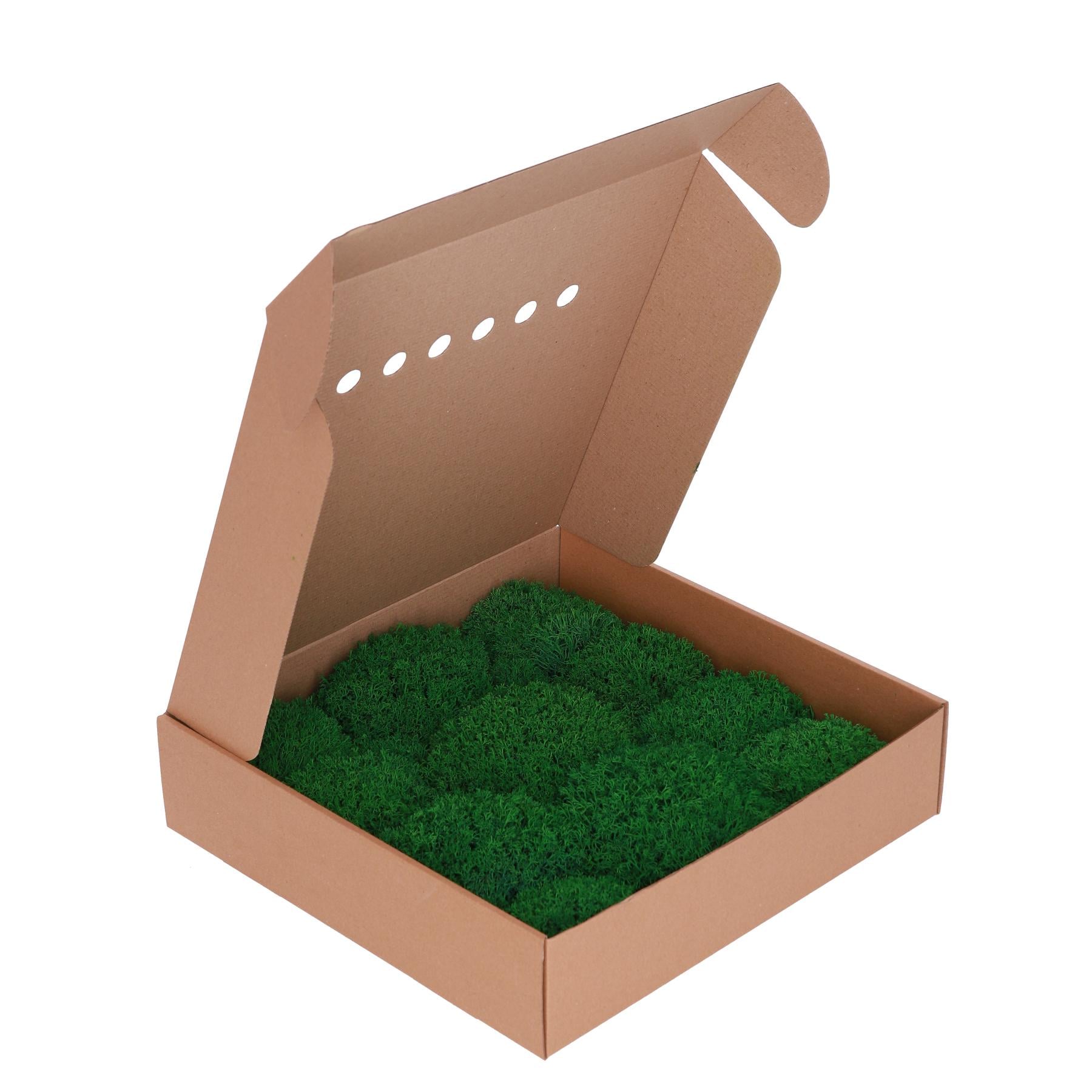 Стабилизированный мох Organic Design Королевский ягель 0,15 м2 Forest Green (503-10)