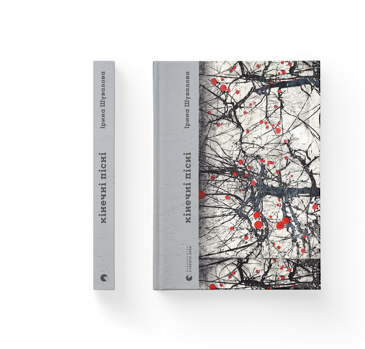 Книга "Кінечні пісні" Ирина Шувалова (9789664482964)