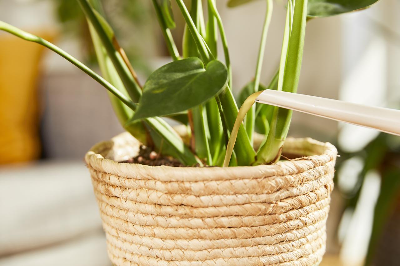 Добриво рідке Compo Complete універсальне 0,5 л (A-014022) - фото 3