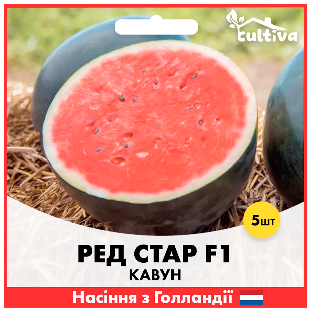 Семена арбуза Nunhems Ред Стар F1 5 шт. (00298)
