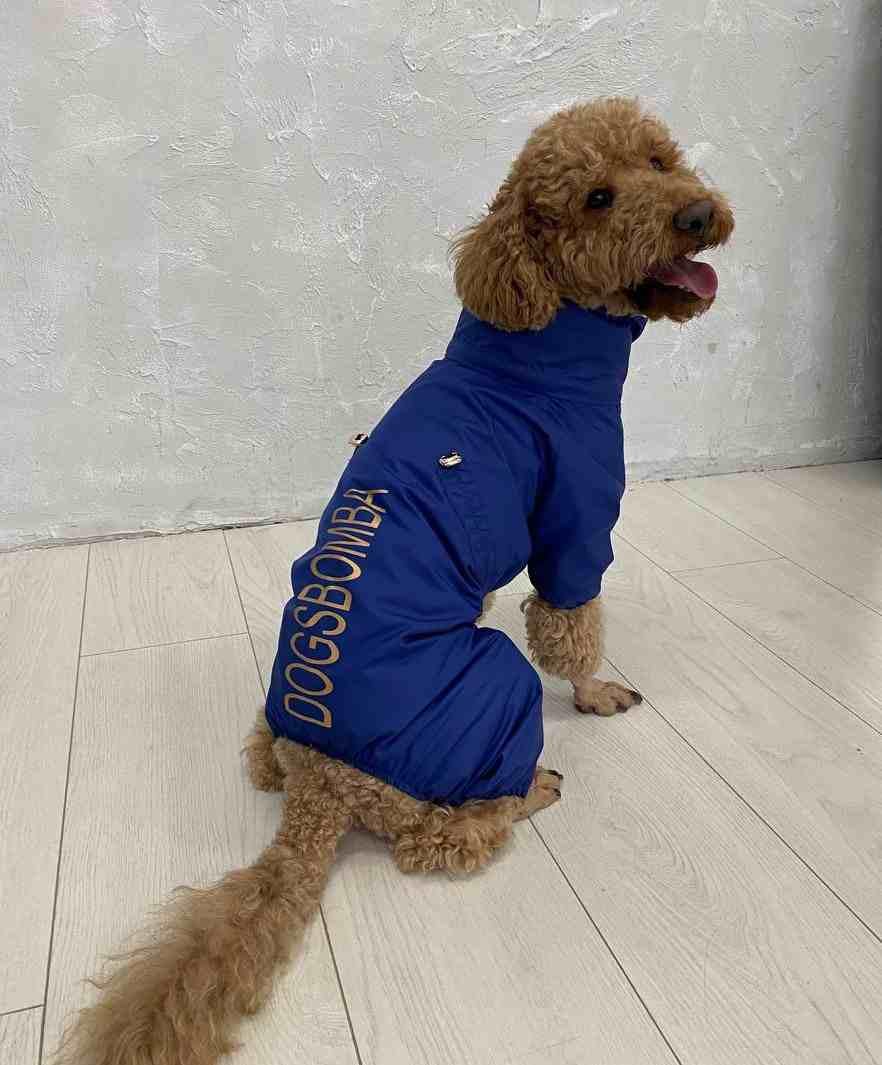 Дощовик для собак із прихованим капюшоном M-87 р. 2 Синій (70579534)