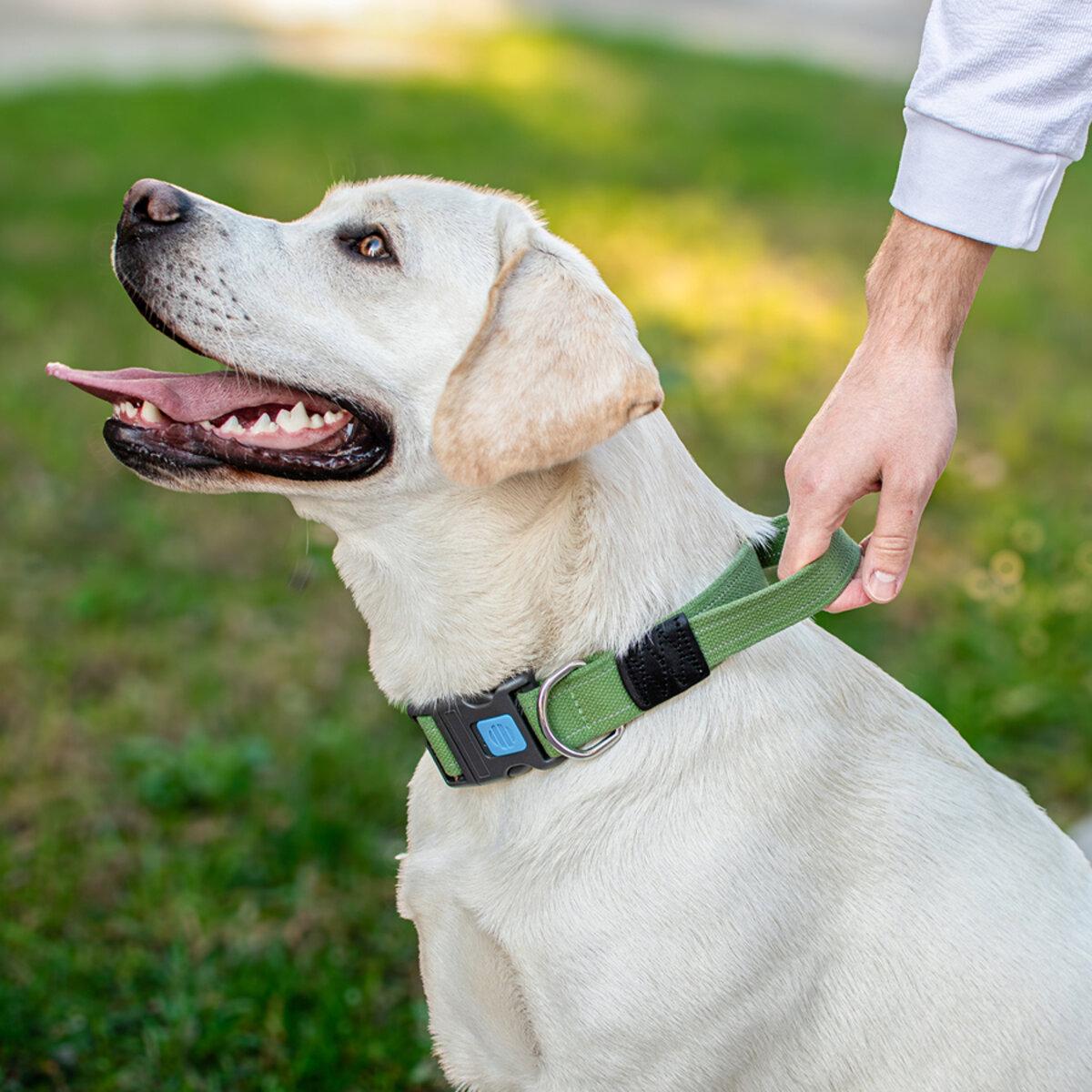 Ошейник для собак с ручкой Collar пластиковый фастекс L 35 мм х 53-69 см Брезент (9936 Col)