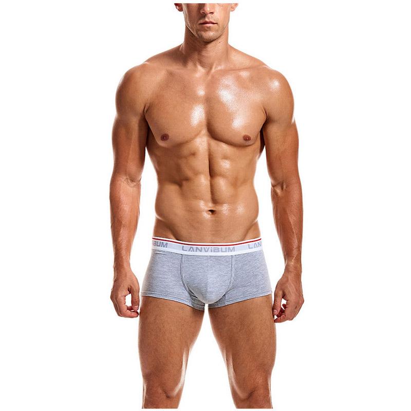 Трусы Lanvibum L Серый (7491)