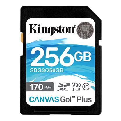 Карта памяти Kingston SDG3 256 Gb Canvas Go Plus SD без адаптера (574780)