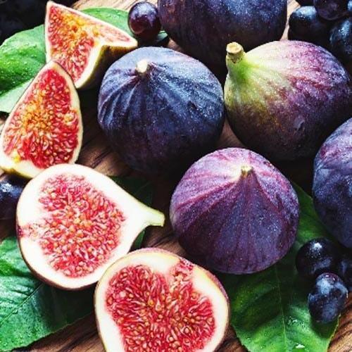 Саджанець Інжир Київський Великоплідний (35895)