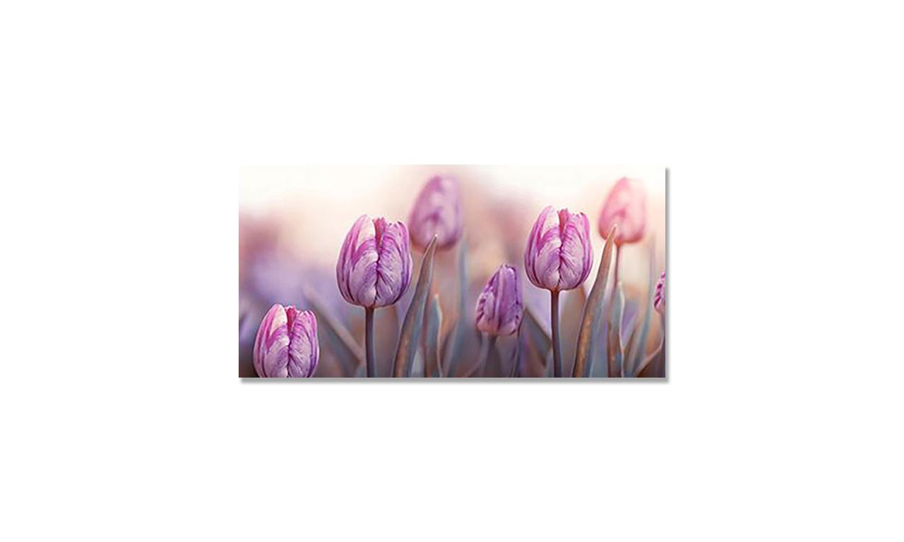 Наклейка виниловая на стол Zatarga Утро и Тюльпаны 600х1200 мм (1274515508) Наклейка виниловая на стол Zatarga Утро и Тюльпаны 600х1200 мм (1274515508)