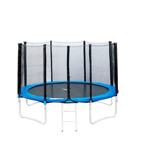 Батут на пружинах Profi MS 0497 с лестницей и сеткой d 305 см