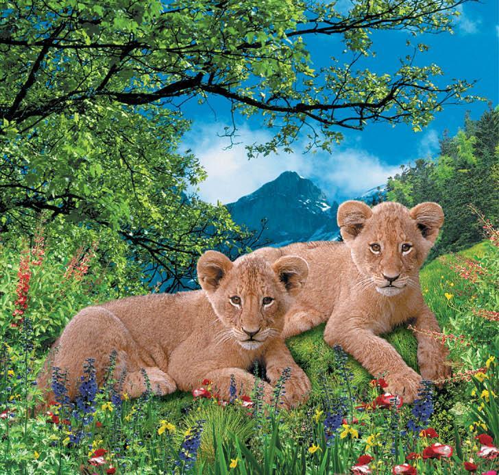 Фотообои на бумажной основе Artdecor Львята 134х145 см (2000000451558)