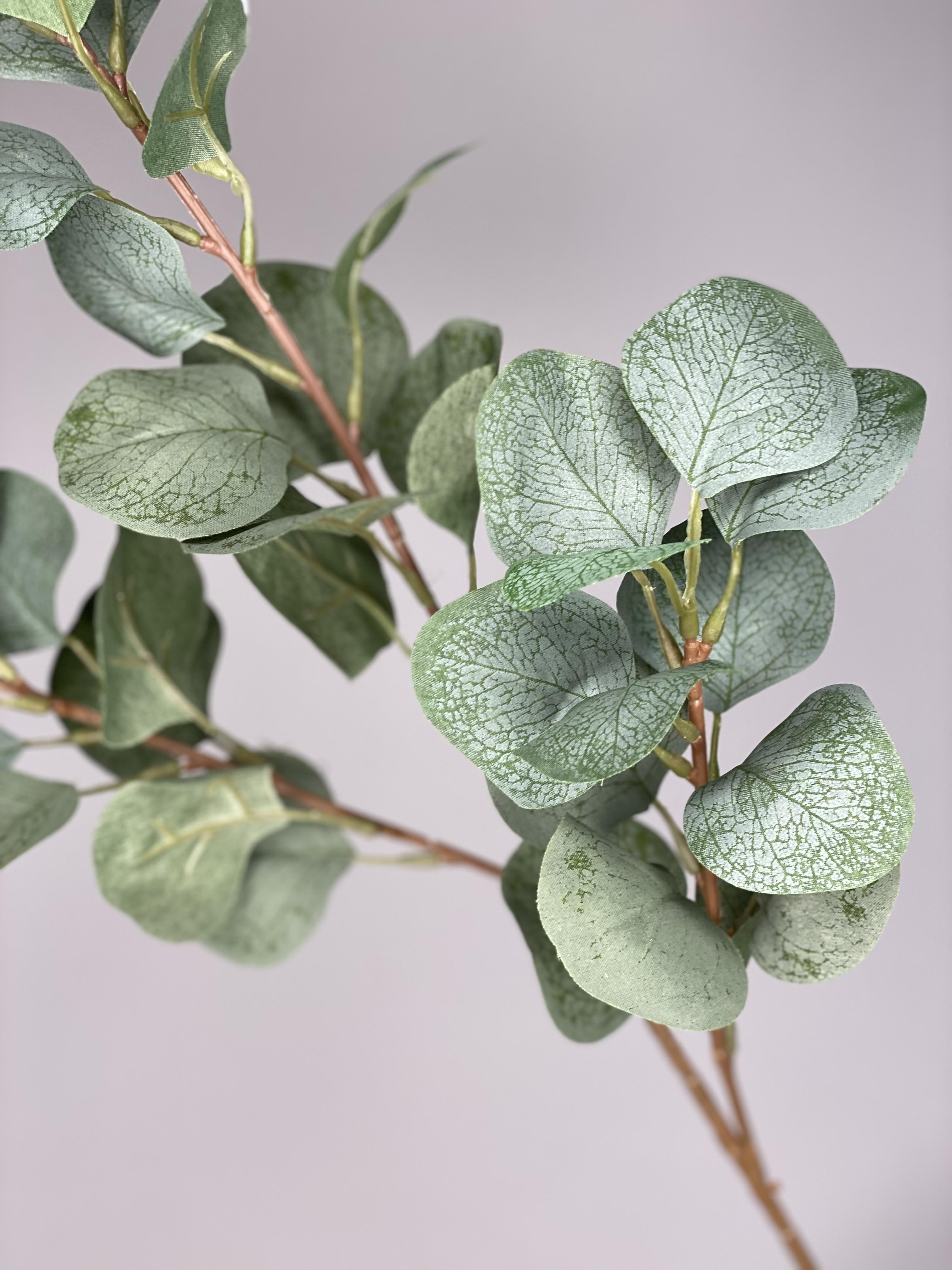 Эвкалипт искусственный популюс из сатина - фото 3 Эвкалипт искусственный популюс из сатина - фото 3