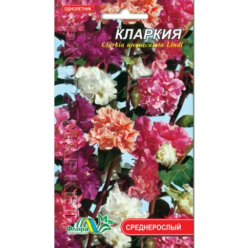 Насіння Кермек однорічник середньорослий 0,2 г (26275) Насіння Кермек однорічник середньорослий 0,2 г (26275)