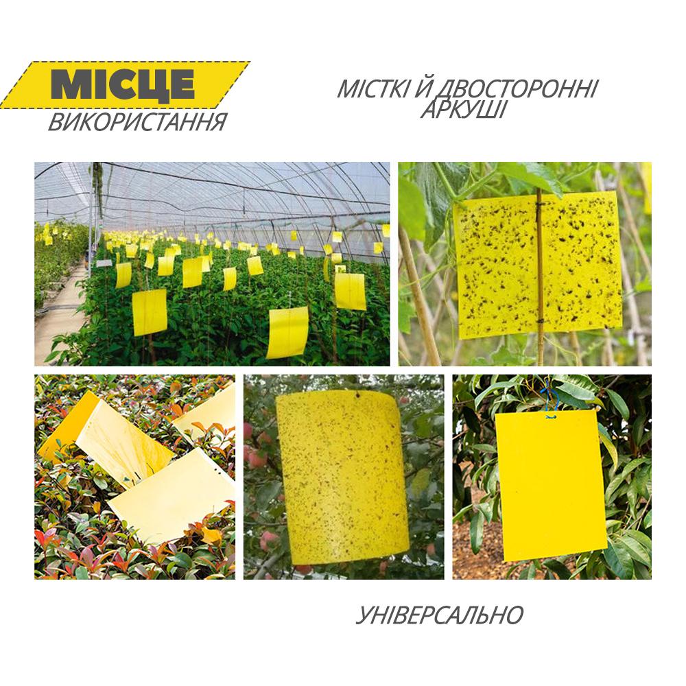 Ловушки клеевые многоразовые для защиты растений от кладки/насекомых 10 л. 20х10 см (LOVKOM-YLW-1326) - фото 4 Ловушки клеевые многоразовые для защиты растений от кладки/насекомых 10 л. 20х10 см (LOVKOM-YLW-1326) - фото 4