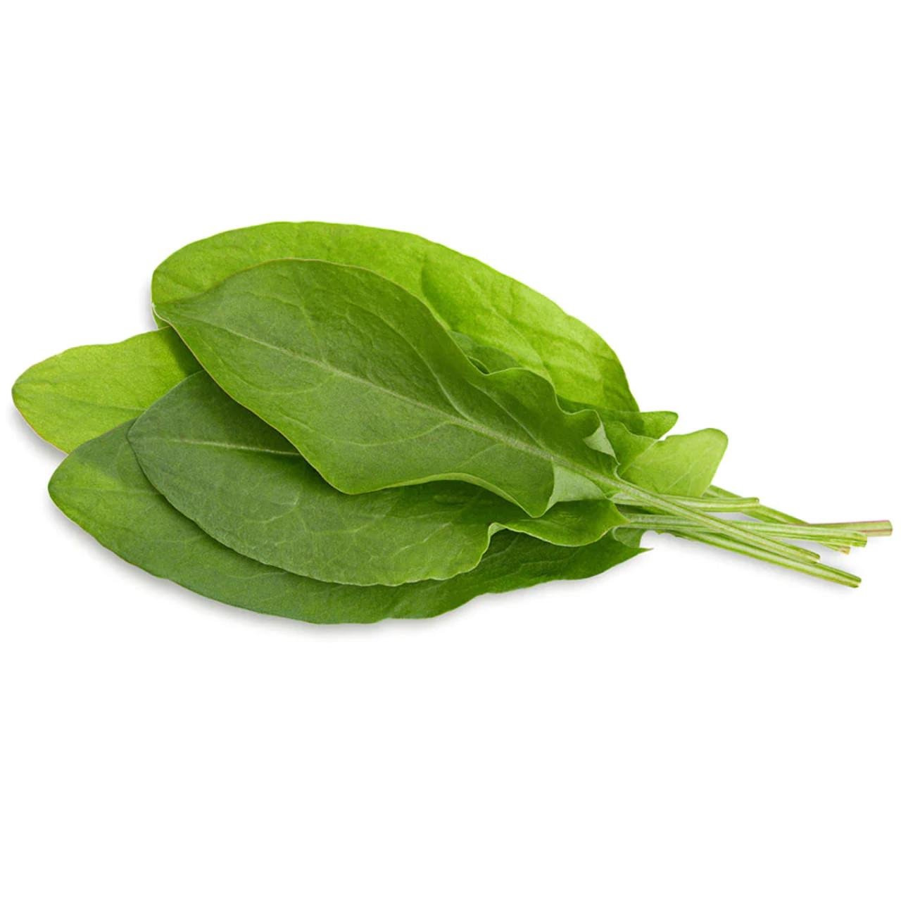 Картридж сменный Click & Grow Зеленый щавель 3 капсулы (A-014376) - фото 3