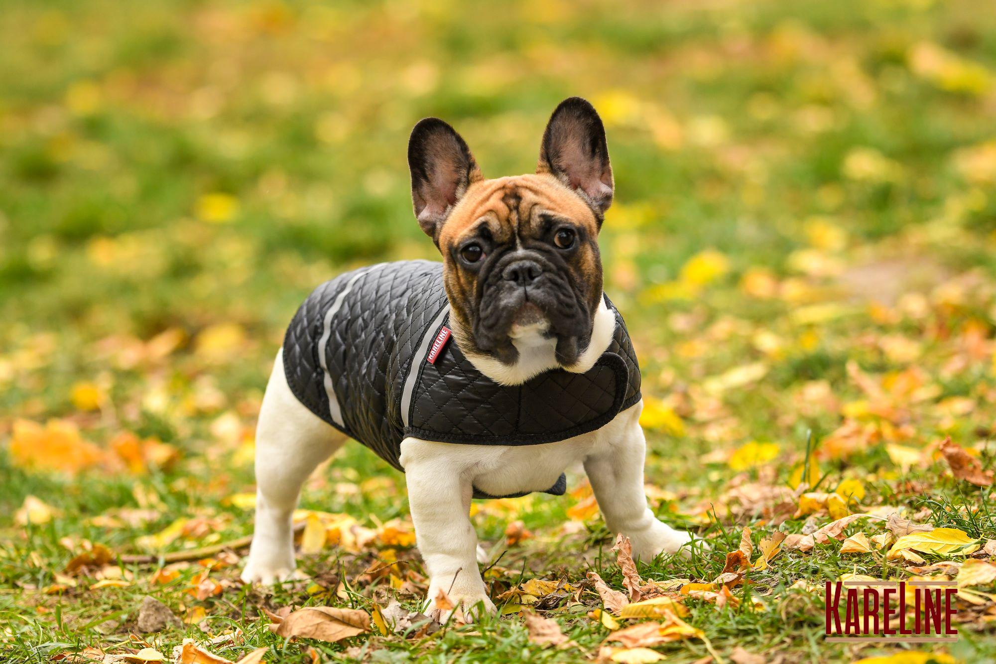 Попона KARELINE из стеганой плащевки на флисе ХS (90031/1) - фото 3 Попона KARELINE из стеганой плащевки на флисе ХS (90031/1) - фото 3