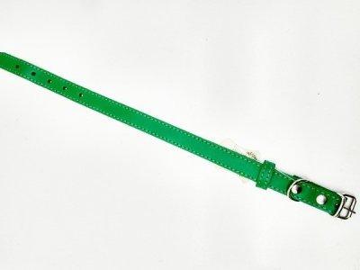 Нашийник для тварин шкіряний ВЕСНА 20 мм х 33-41 см Зелений (2296438275) - фото 2 Нашийник для тварин шкіряний ВЕСНА 20 мм х 33-41 см Зелений (2296438275) - фото 2