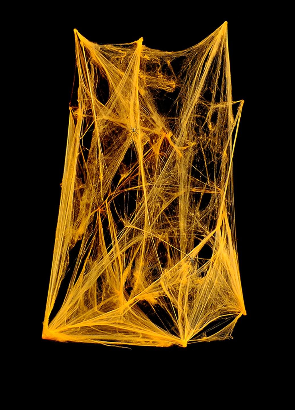 Паутина 20 г (11-342-OR)