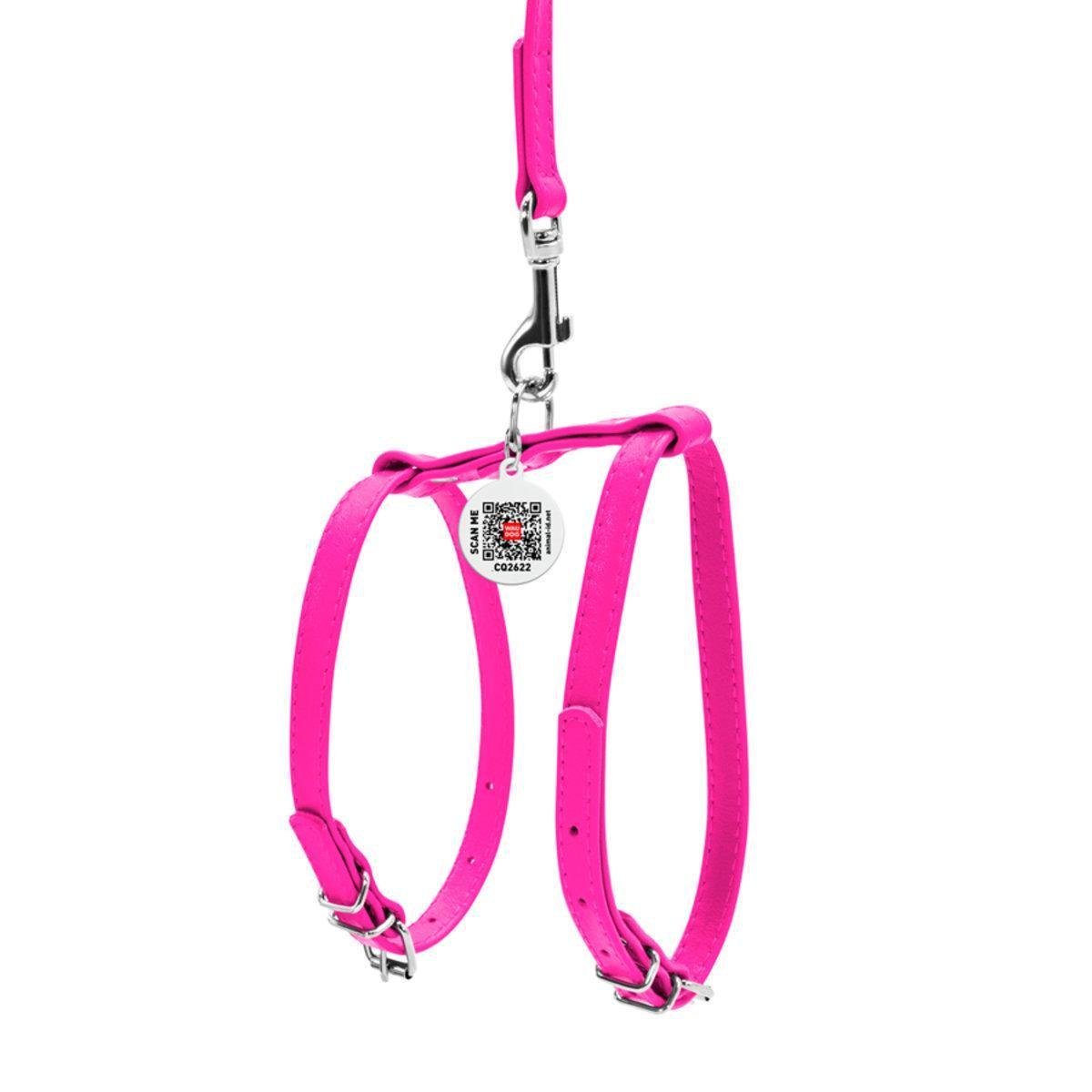 Шлея з повідцем для собак Waudog Glamour з QR паспортом/шкіряна 9 мм х 20-30 см х 30-40 см Рожевий (33997 Col)