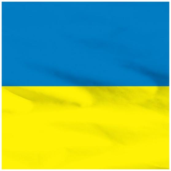 Бандана K170 Флаг Украины хлопковая 55х55 см (11947820)