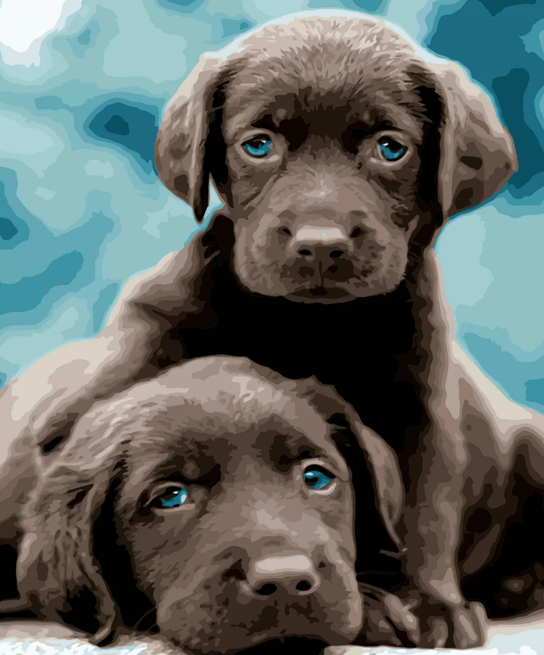 Картина по номерам Strateg Премиум Маленькие лабрадоры с лаком и уровнем 40x50 см (VA-2800)