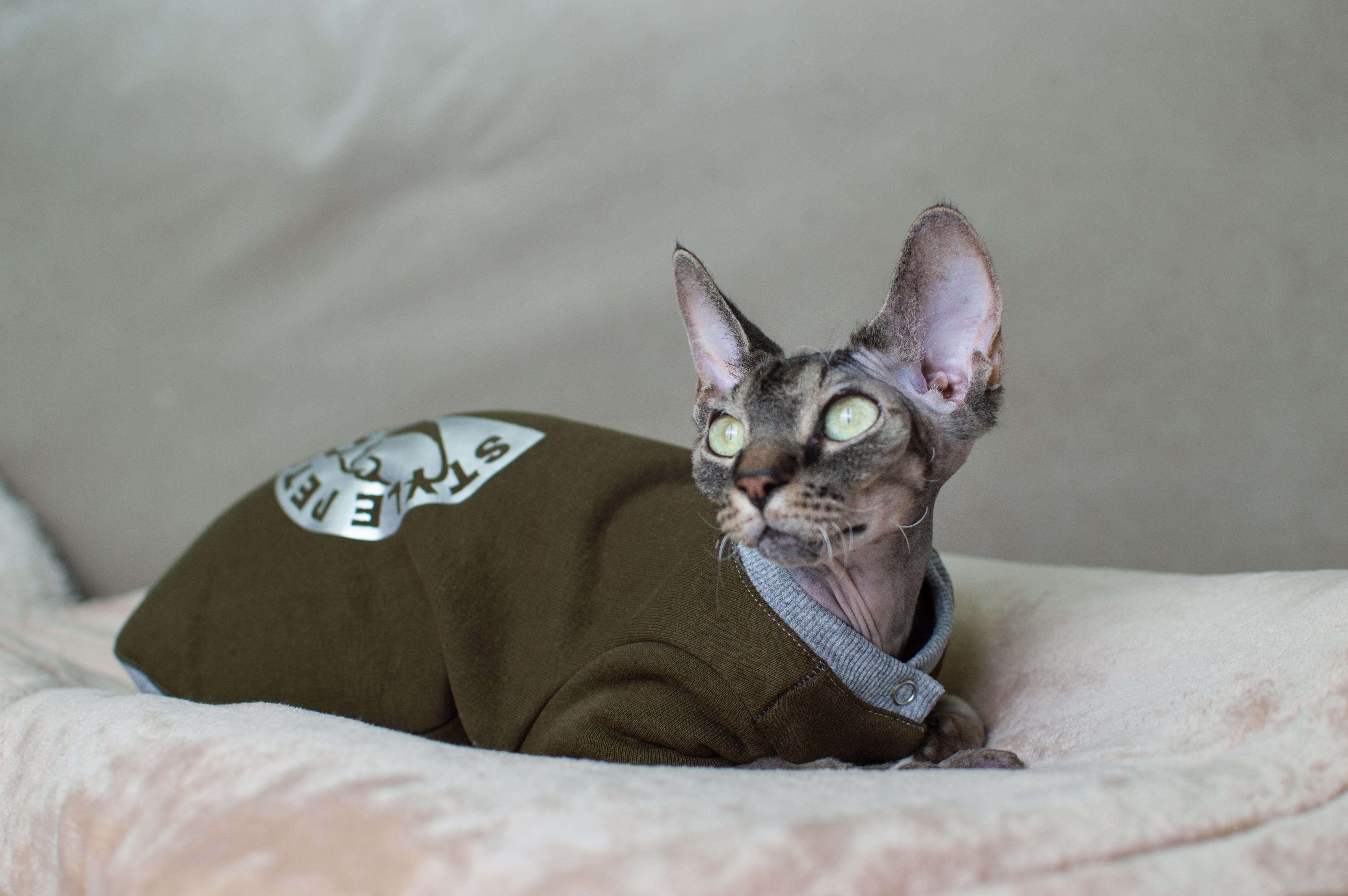 Кофта для котів з рукавами тепла Style Pets FaceSP XL Khaki (406XL) - фото 4