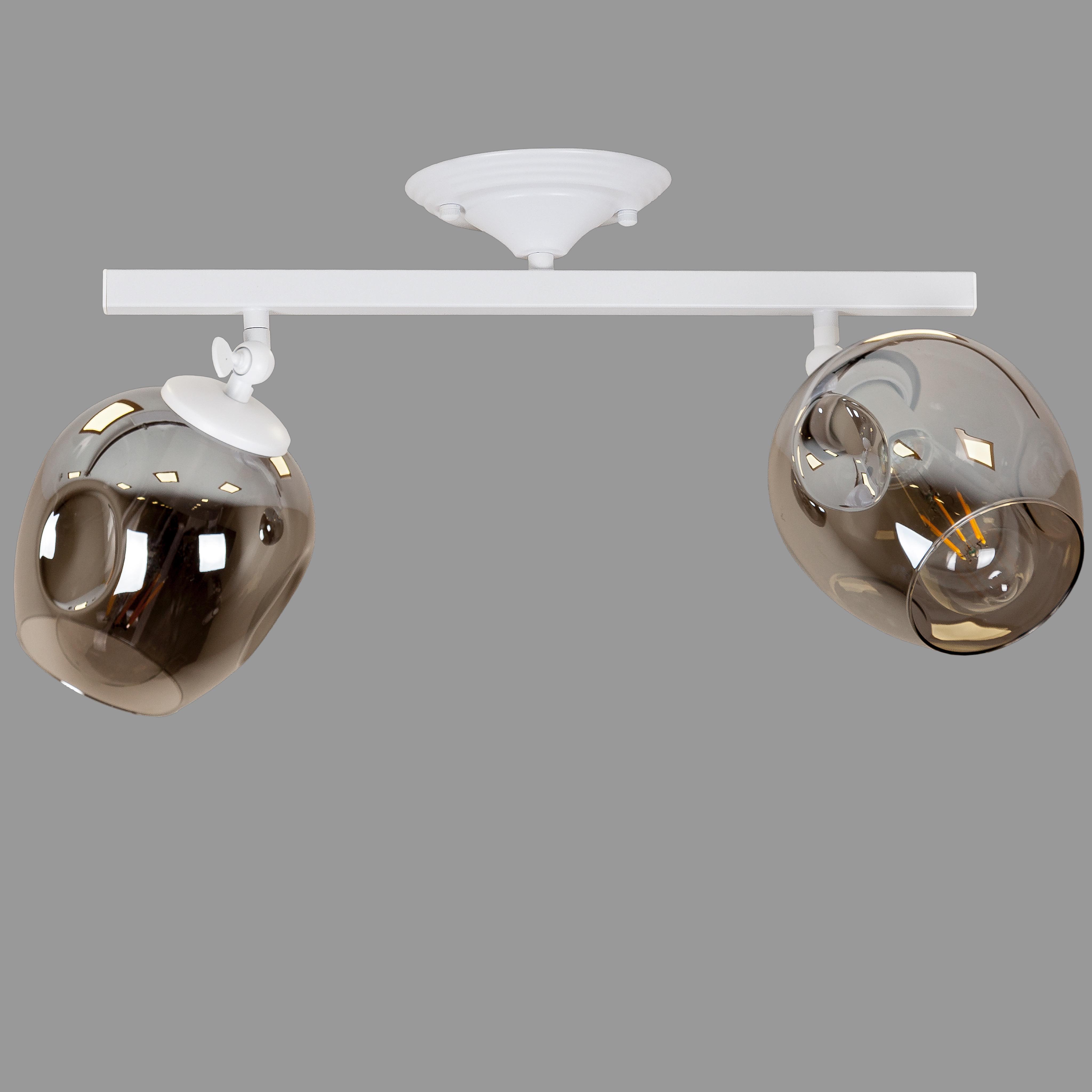 Люстра потолочная на 2 лампы molecule Белый (56-XPR0231F-2 WH+BK) Люстра потолочная на 2 лампы molecule Белый (56-XPR0231F-2 WH+BK)