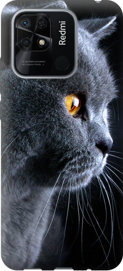 Чехол на Xiaomi Redmi 10C Красивый кот (3038t-2591-42517) Чехол на Xiaomi Redmi 10C Красивый кот (3038t-2591-42517)