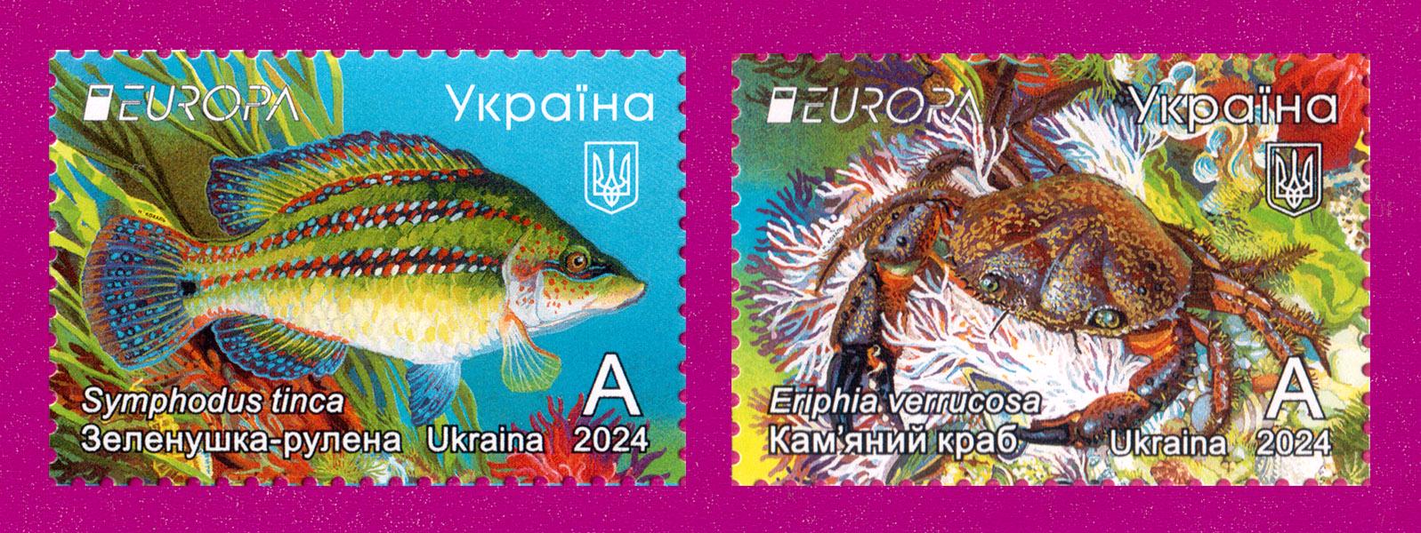 Почтовые марки Украины 2024 года Подводная фауна и флора Черное море (202430009)