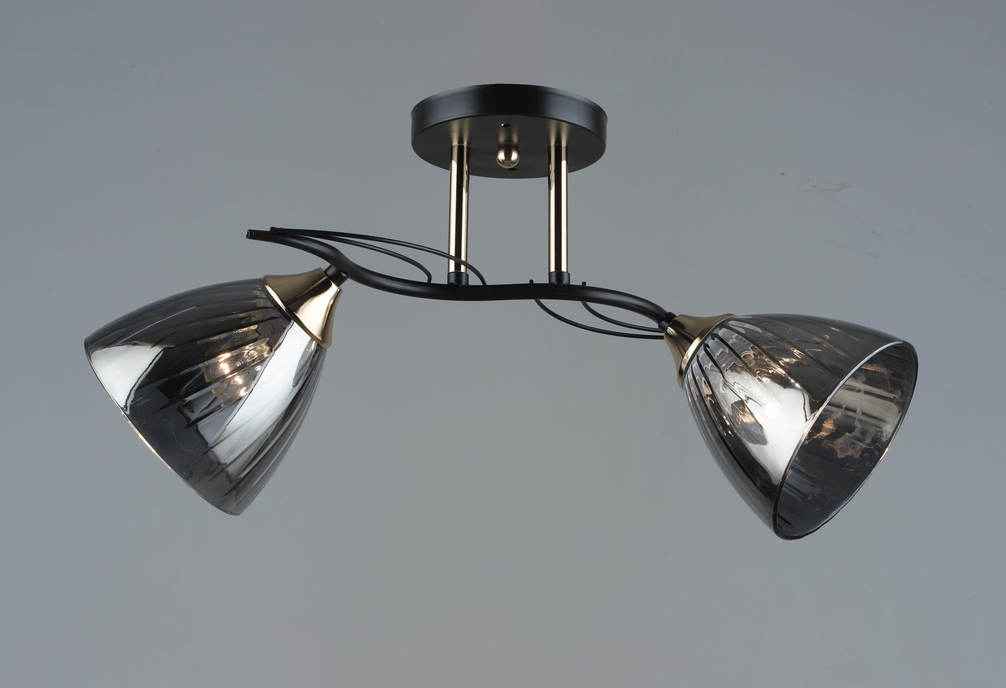 Люстра потолочная Sirius B N5467/2 COFFEE+FGD на 2 плафона