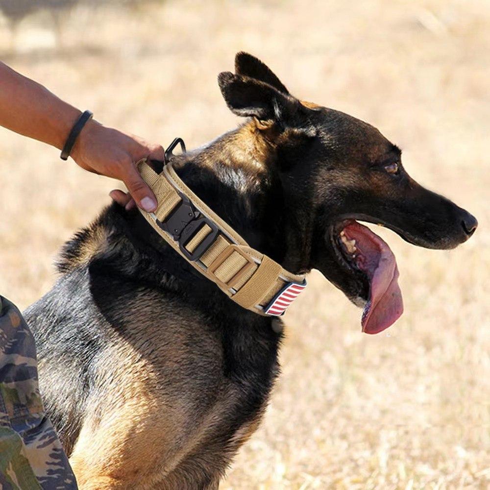 Ошейник для собак Harness Tactical широкий нейлоновый с металлической пряжкой-фастекс M Черный (2349915305) - фото 6 Ошейник для собак Harness Tactical широкий нейлоновый с металлической пряжкой-фастекс M Черный (2349915305) - фото 6